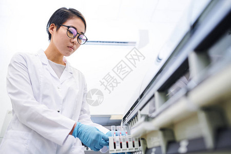 戴着实验室外套和外科手套的眼镜的严肃迷人的年轻亚洲实验室员工将血液图片