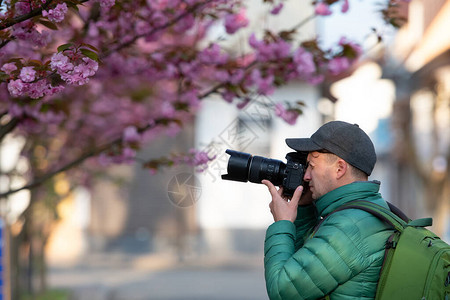 拍摄樱花的摄影师图片