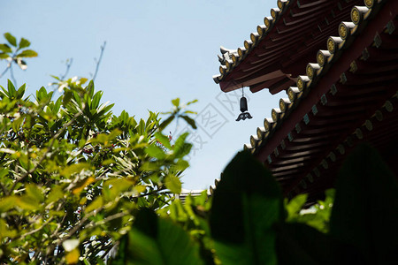 新加坡寺庙屋顶细节图片