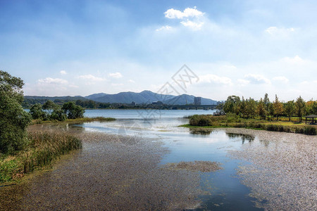 初秋拍摄的北汉江和水生态公园花景观韩国南背景图片