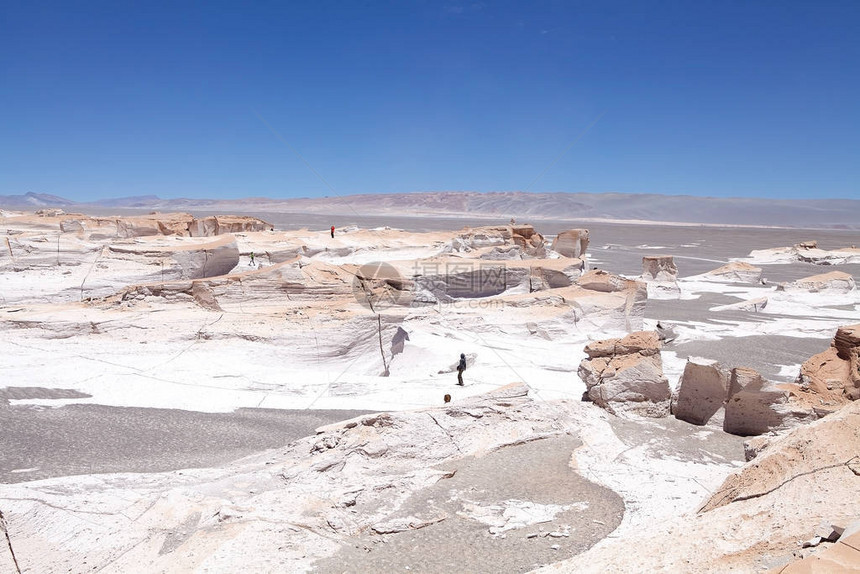 阿根廷PunadeAtacama的浮石场是智利北部和阿根廷安第斯山脉的干旱高原在阿根廷图片