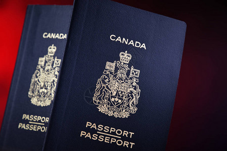 用两本加拿大护照作文图片