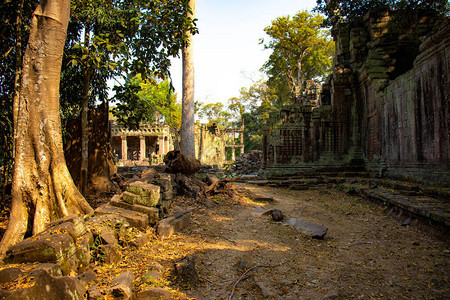 吴哥窟寺庙废墟柬埔寨领土图片