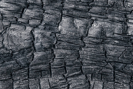 烧焦树干上的黑色纹理与煤炭状态图片