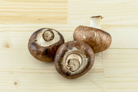 浅色木质背景上的三个大棕色食用菌蘑菇图片