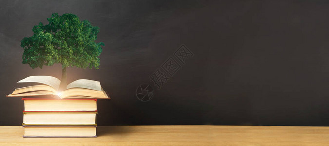 知识树从躺在黑色背景的桌子上的书堆中生长拼贴背景图片