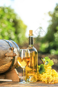 葡萄园中酒杯和白酒瓶有新鲜葡萄和木图片