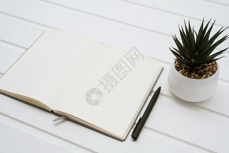 白色的白纸笔记本白色木质背景在锅里一朵家花旁图片