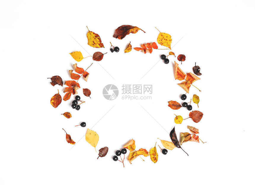 秋季花圈由秋叶和白背景的果汁制成平坦地顶层视图片
