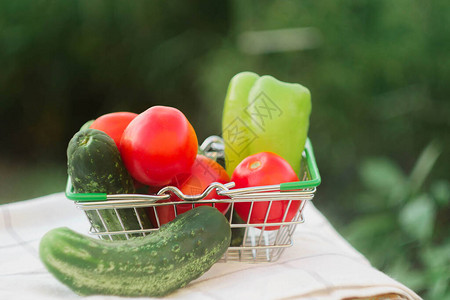 购物篮中新鲜蔬菜复制空间农户市图片