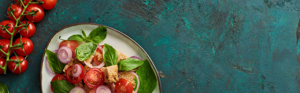 意大利菜色沙拉潘扎尼拉被用西红柿和全景片涂在纸质绿色背景图片
