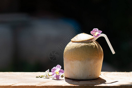夏季饮料的有机产品甜椰子水的新鲜饮料图片