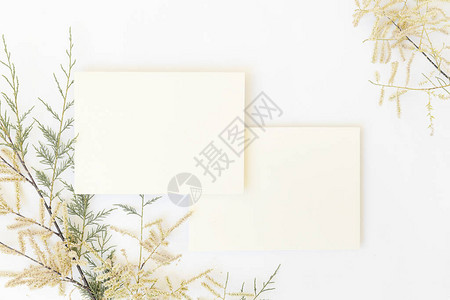 用灰色背景的热带棕榈叶和中间的文字空间混合白纸和信封顶背景图片