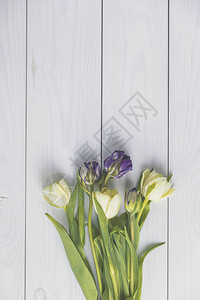 花组成白色木制背景上的紫罗兰色和淡黄色郁金香花情人节图片