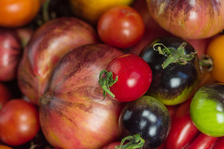 木制背景上的健康有机西红柿仿古木制背景上的什锦西红柿桌图片