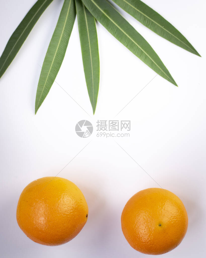 夏季热带构成绿棕榈叶和白色背景的热带水果夏季概念平面设图片