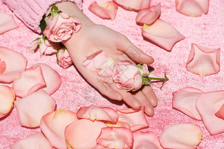 女在花瓣中握着玫瑰的作物风景图片