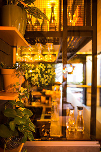 酒吧的装潢吧台附近架子上的室内植物酒杯和酒瓶酒馆房间的设计咖图片
