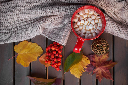 红茶杯加棉花糖平整的拥抱风格热茶在温柔的针织上背景秋色的心情图片