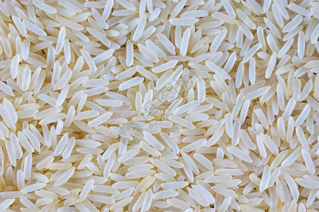 大米是一种健康食品谷类植物农业谷类作物背景图片