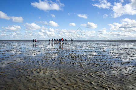 荷兰弗赖斯兰WaddenzeeFriesland等地的海洋景观图片