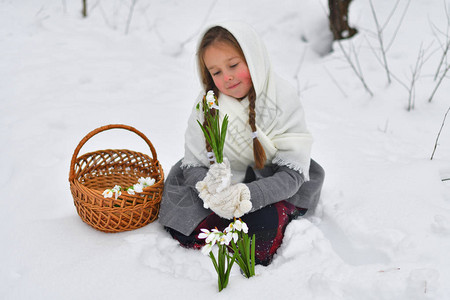 披肩和手套的小女孩正在雪堆里采摘雪花莲图片