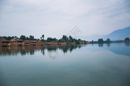 印度斯利那加州达尔湖的图片