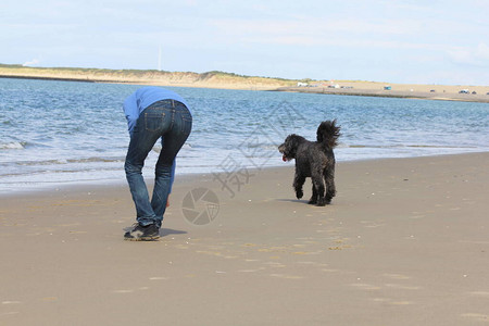 人与狗在沙滩上相遇图片