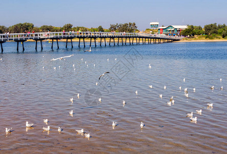 滨海艺术中心和海滩之间的坎宁安阿姆人行天桥澳大利亚维多图片