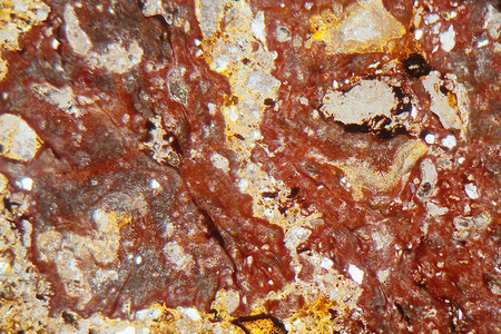 显微镜下和偏振光下的Suevite岩石薄片图片