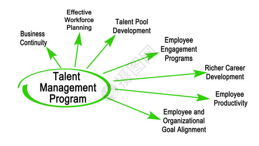 人才管理计划的组成部分图片