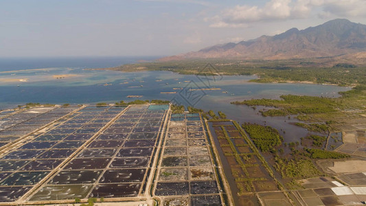 在海洋附近用曝气泵增氧水养虾高清图片