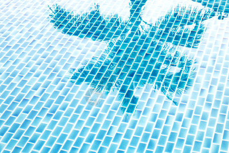 游泳池被椰子树遮蔽图片
