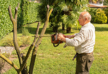 老人在花园里用电锯砍树背景图片