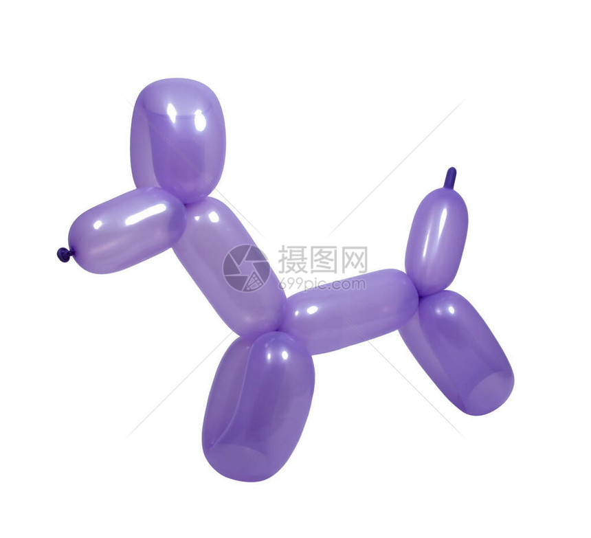 紫色气球型狗模型图片
