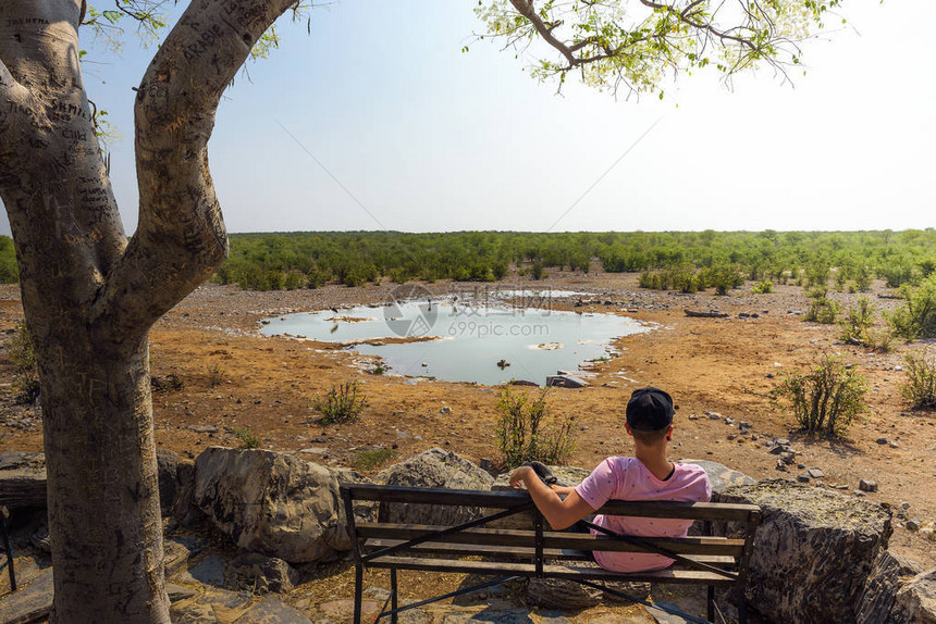 在纳米比亚Etosha公园的Halali营地附近的Moringa水井附近图片
