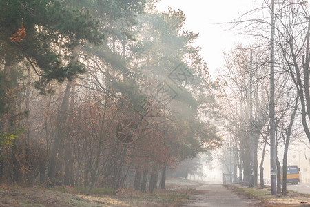 城市郊区雾蒙的秋天早晨图片