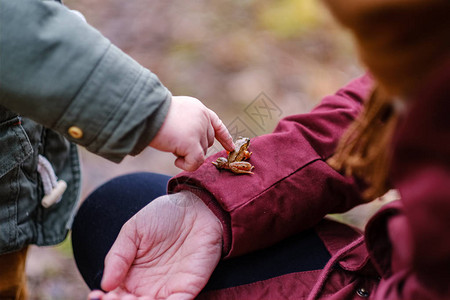 婴儿手指着青蛙自然教育图片