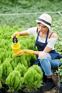 女园艺工人集中致力于在小型cypres图片