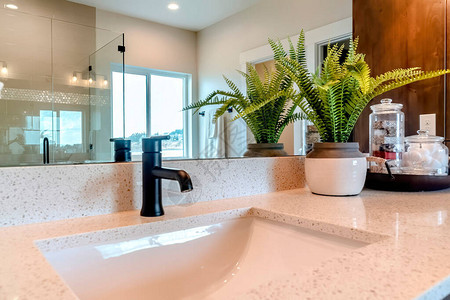 水槽和水龙头靠在反射淋浴间和推拉窗的镜子上盆栽植物和装有肥皂罐和棉球的托背景图片