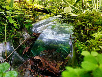 一个森林环境中的玻璃罐和碎玻璃瓶图片