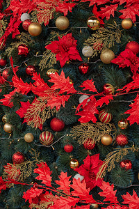 圣诞树圣诞树背景美丽的装饰圣诞节假期概念新年圣诞树图片