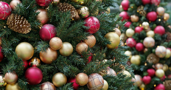 美丽的圣诞树装饰图片