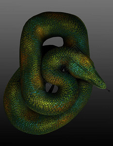 大绿金蛇的CGI渲染背景图片