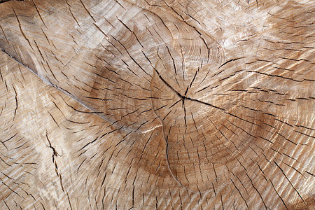 木头在时间的裂缝中切割图片