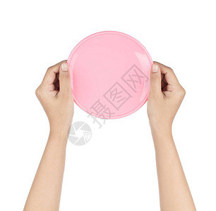 手握清空粉红塑料板白背景图片
