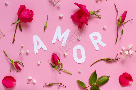 红色花朵和文字AMOR以浅粉红背景图片