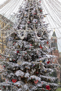 建筑物背景上植绒的圣诞树背景图片