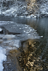 冬天阳光照耀河水在河图片
