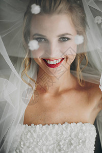 时髦的快乐新娘在酒店房间窗户旁边的柔软光照下面纱和笑容图片